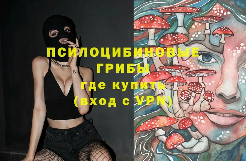 купить   Кстово  Псилоцибиновые грибы MAGIC MUSHROOMS 